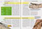 Preview: Neotropische Taggeckos